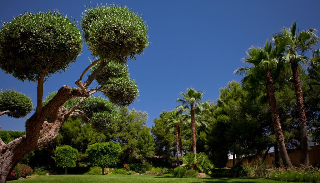 Jardines De Amaltea Hotell Lorca  Exteriör bild