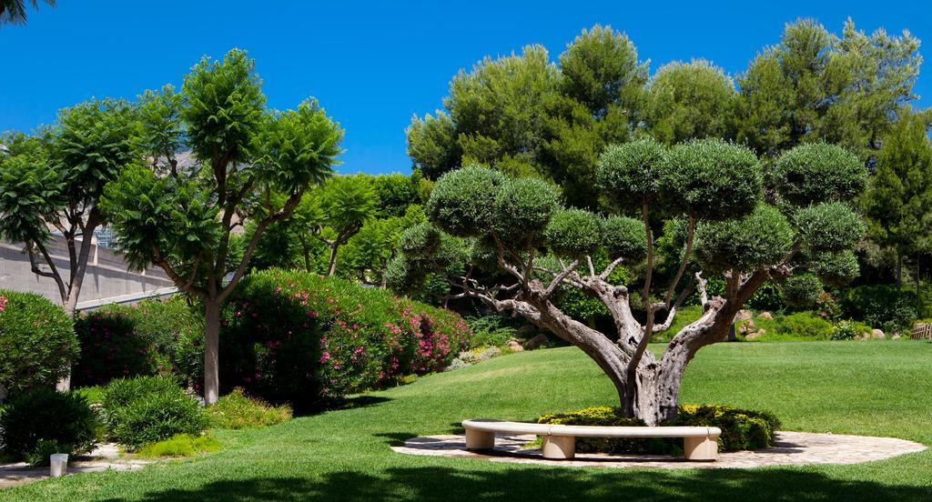 Jardines De Amaltea Hotell Lorca  Exteriör bild
